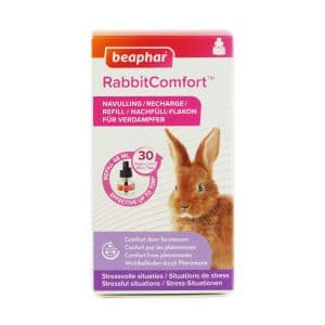 Rabbit comfort