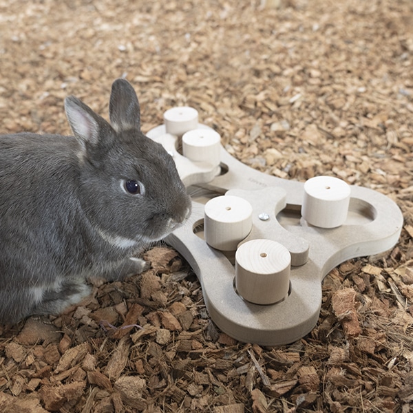 Play & deluxe - Hersenspel voor jouw konijn