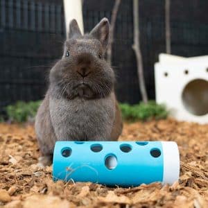 Throw & find snackrol voor konijnen