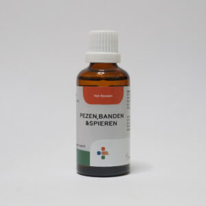 Pezen, banden & spieren