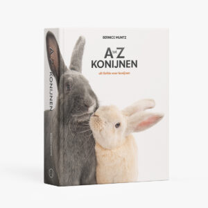 Boek A tot Z KONIJNEN - Bernice Muntz