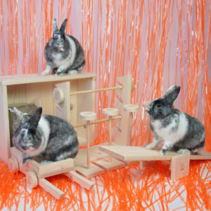 Hindernissen - set 2