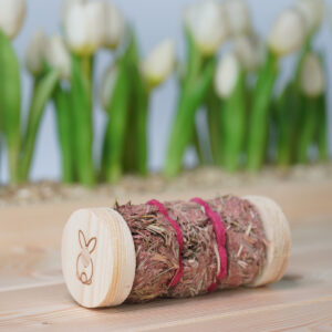 Strawberry daiquiri - toy